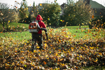 Landscaper blowing leaves